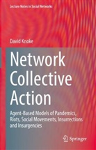 David Knoke - Network Collective Action