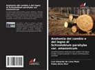 Luiz Eduardo de Lima Melo, Fabio Akira Mori - Anatomia del cambio e del legno di Schizolobium parahyba var. amazonicum