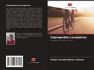 Sérgio Carvalho Ramos Linhares - Copropriété Laranjeiras