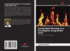 Leandro Alves - Controlled Burning in a Eucalyptus urograndis area