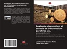 Luiz Eduardo de Lima Melo, Fabio Akira Mori - Anatomie du cambium et du bois de Schizolobium parahyba var. amazonicum