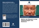 Francis Ndi Ngassa - Abriss von Häusern in der Südwestregion von Kamerun