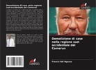Francis Ndi Ngassa - Demolizione di case nella regione sud-occidentale del Camerun
