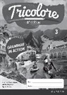 Tricolore 6e Edition: Grammar in Action Workbook 3 (Pack of 8)