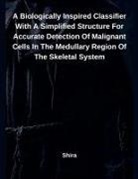 Shira - A Biologically Inspired Classifier With A Simplified Structure For Accurate Detection Of Malignant Cells In The Medullary Region Of The Skeletal System