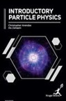 Christopher Arendse, Ilia Zaliapin - Introductory Particle Physics