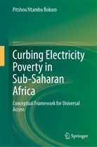 Pitshou Ntambu Bokoro, Gulshan Sharma - Curbing Electricity Poverty in Sub-Saharan Africa