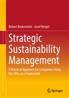 Robert Bodenstein, Josef Herget - Strategic Sustainability Management