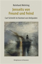 Reinhard Mehring - Jenseits von Freund und Feind