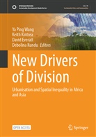 David Everatt, David Everatt et al, Keith Kintrea, Debolina Kundu, Ya Ping Wang - New Drivers of Division