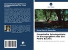 Bruno Bianchi Guimarães - Dauerhafte Schutzgebiete im Einzugsgebiet des São Pedro Baches