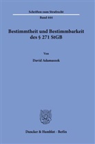 David Adamaszek - Bestimmtheit und Bestimmbarkeit des § 271 StGB