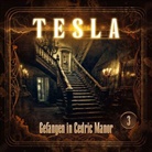 Andreas Fröhlich, Gabrielle Pietermann, Patrick Winczewski - Tesla - Gefangen in Cedric Manor, 1 Audio-CD (Audio book)