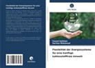 Karima Mahmoud, Fouad Soliman - Flexibilität der Energiesysteme für eine künftige kohlenstofffreie Umwelt