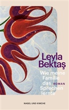 Leyla Bektas, Leyla Bektaş - Wie meine Familie das Sprechen lernte