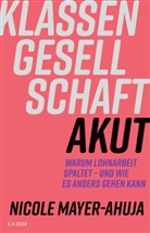 Nicole Mayer-Ahuja - Klassengesellschaft akut