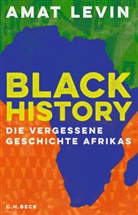 Amat Levin - Black History