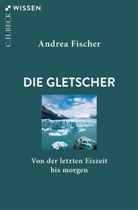 Andrea Fischer - Die Gletscher