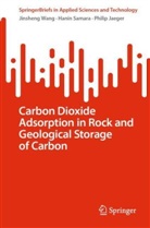 Philip Jaeger, Hanin Samara, Jinsheng Wang - Carbon Dioxide Adsorption in Rock and Geological Storage of Carbon