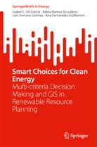 Ana Fernández-Guillamón, Isabel C Gil García, Isabel C. Gil García, Adela Ramos-Escudero, Serrano, Luis Serrano-Gómez - Smart Choices for Clean Energy