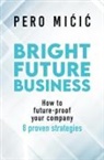 Pero Micic, Pero Micic - Bright Future Business