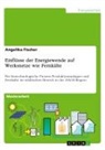 Angelika Fischer - Einflüsse der Energiewende auf Werksnetze wie Fernkälte