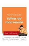 Alphonse Daudet - Réussir son Bac de français 2025 : Analyse du recueil Les Lettres de mon moulin de Alphonse Daudet