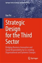 Xue Pei - Strategic Design for the Third Sector
