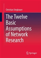 Christian Stegbauer - The Twelve Basic Assumptions of Network Research