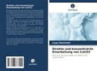Linda Gouissem - Direkte und konzentrierte Einarbeitung von CaCO3