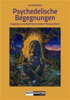 Ismael Wetzky - Psychedelische Begegnungen