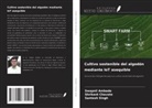Swapnil Ambade, Shrikant Chavate, Santosh Singh - Cultivo sostenible del algodón mediante IoT asequible