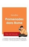 Stendhal - Réussir son Bac de français 2025 : Analyse du livre Promenades dans Rome de Stendhal
