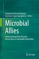 Olubukola Oluranti Babalola, Olubukola Oluranti Babalola, Segun Ayangbenro, Ayansina Segun Ayangbenro - Microbial Allies
