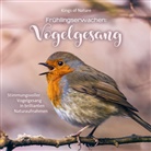 Frühlingserwachen: Vogelgesang, 1 Audio-CD (Hörbuch)