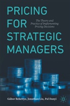 Pál Danyi, Jonathan Liu, Gábor Rekettye - Pricing for Strategic Managers