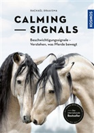 Rachaël Draaisma - Calming Signals