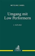 Maren Habel, Alfons Labisch, Frank Wetzling, Oliver Land, Schröder - Umgang mit Low Performern