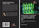 Filipe Semião - Produzione di biodiesel in Chlorella mediante scambio simbiotico di gas
