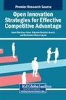 Bartolomé Marco-Lajara, Javier Martínez-Falcó, Eduardo Sánchez-García - Open Innovation Strategies for Effective Competitive Advantage