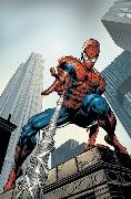 J Michael Straczynski, Mark Brooks, Mike Deodato - Amazing Spider-Man By J. Michael Straczynski Omnibus Vol. 2