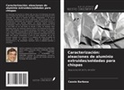 Cassio Barbosa - Caracterización: aleaciones de aluminio extruidas/soldadas para chispas