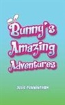 Julie Cunningham - Bunny's Amazing Adventures