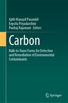 Ajith Manayil Parambil, Eepsita Priyadarshini, Paulraj Rajamani - Carbon