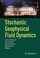 Franco Flandoli, Darryl Holm, Amru Hussein, Amru Hussein et al, Martin Saal - Stochastic Geophysical Fluid Dynamics