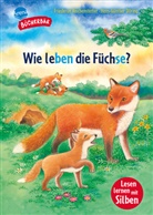 Hans-Günther Döring, Friederun Reichenstetter, Hans-Günther Döring, Arena Erstlesebücher - Sachwissen für Erstleser. Wie leben die Füchse?