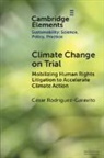 César Rodríguez-Garavito - Climate Change on Trial