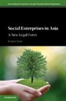 Ernest Lim - Social Enterprises in Asia