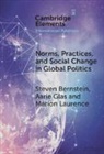 Steven Bernstein, Steven (University of Toronto) Glas Bernstein, Bernstein Steven, Aarie Glas, Marion Laurence - Norms, Practices, and Social Change in Global Politics
