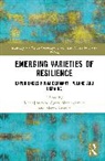 Maciej (Jagiellonian University in Krakow Stepka, Marco Krüger, Agata Mazurkiewicz, Maciej Stępka - Emerging Varieties of Resilience